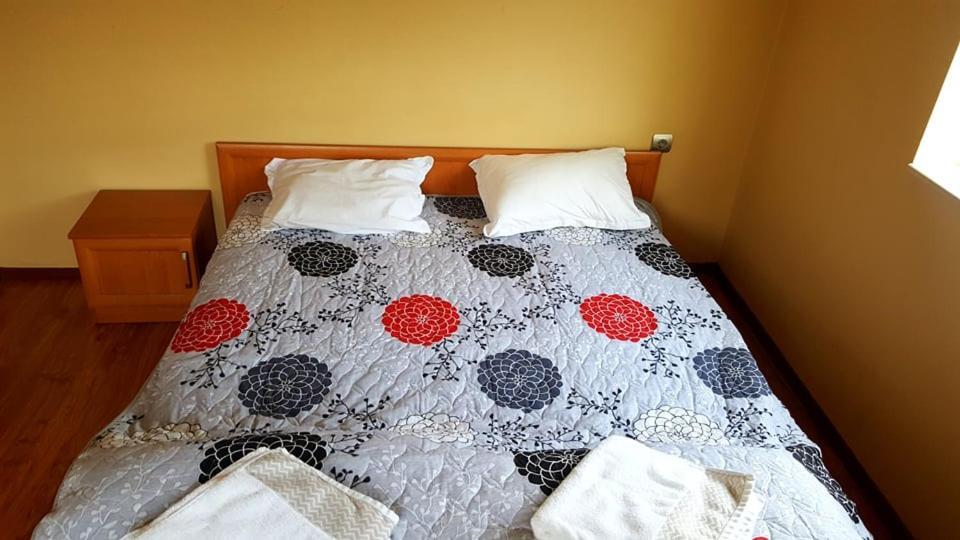 Hotel Maria Vratsa エクステリア 写真