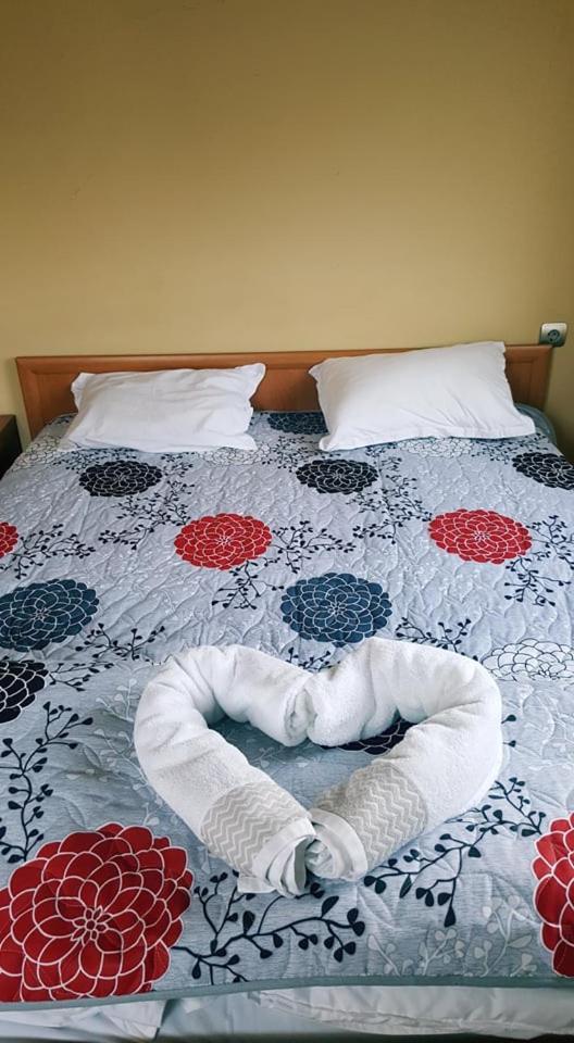 Hotel Maria Vratsa エクステリア 写真